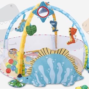 Baby play mat and accessories dinosaur themed